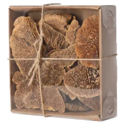 Paddenstoel deco naturel 120g