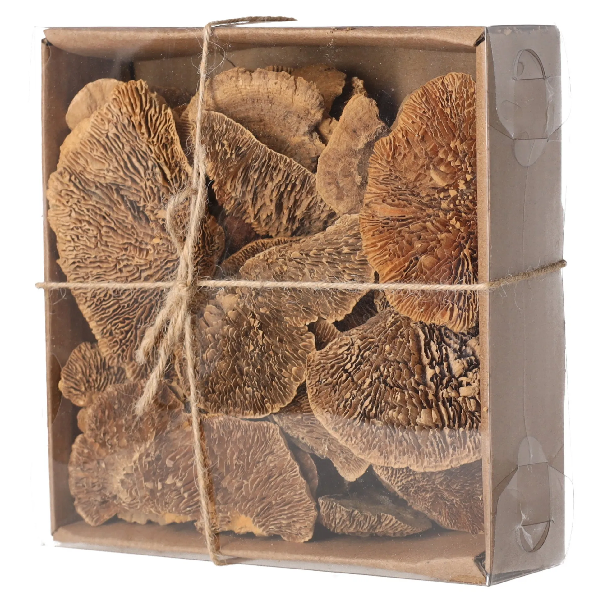 Paddenstoel deco naturel 120g