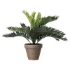 Palm Cycas in pot grijs 33 x 34 cm