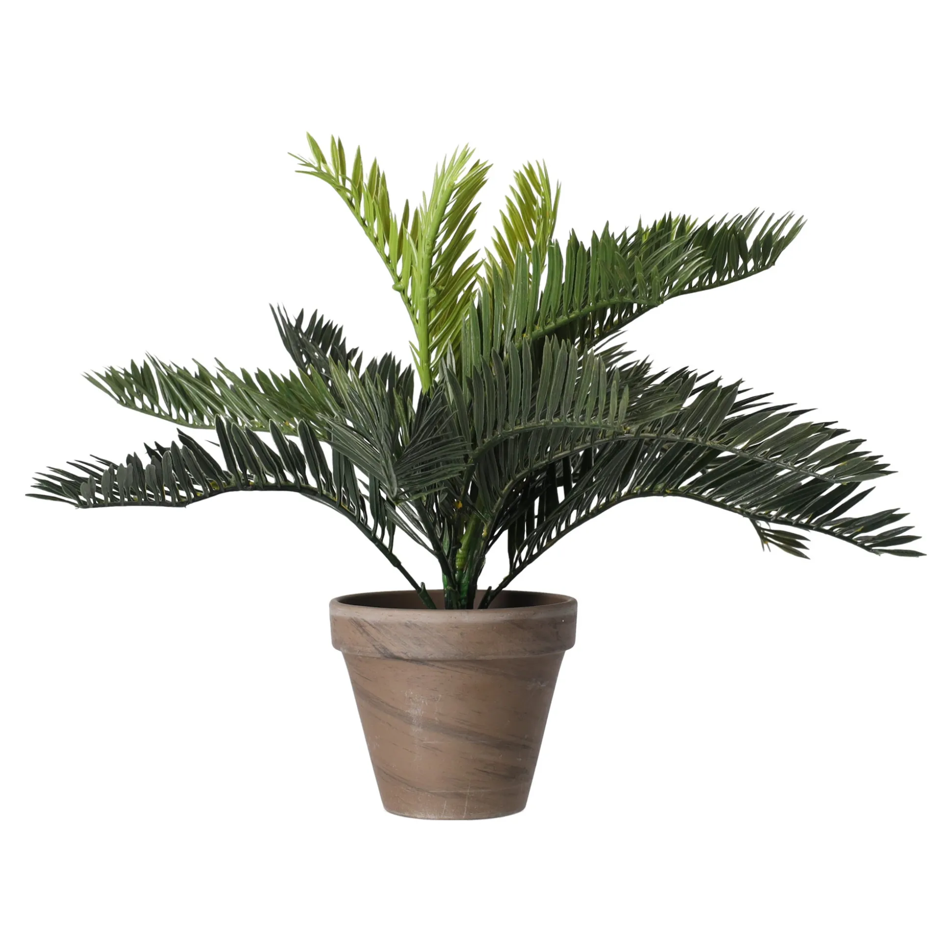 Palm Cycas in pot grijs 33 x 34 cm