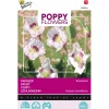 Papaver Blauwmaanzaad