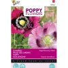 Papaver Enkelbloemig mix