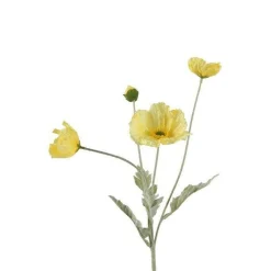 Papaver geel 63 cm
