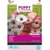 Papaver Mother of Pearl