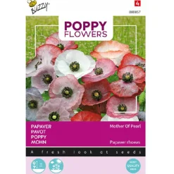 Papaver Mother of Pearl