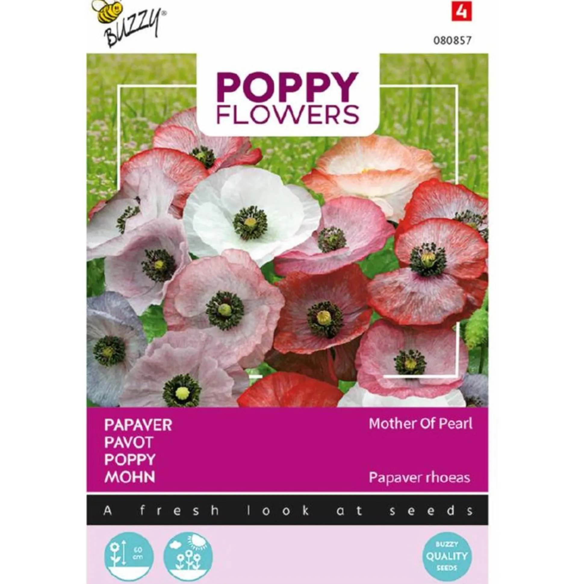 Papaver Mother of Pearl
