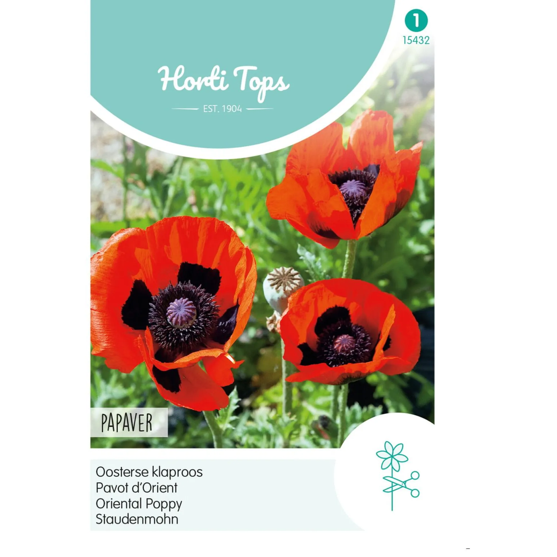 Papaver Orientale Oosterse klaproos rood