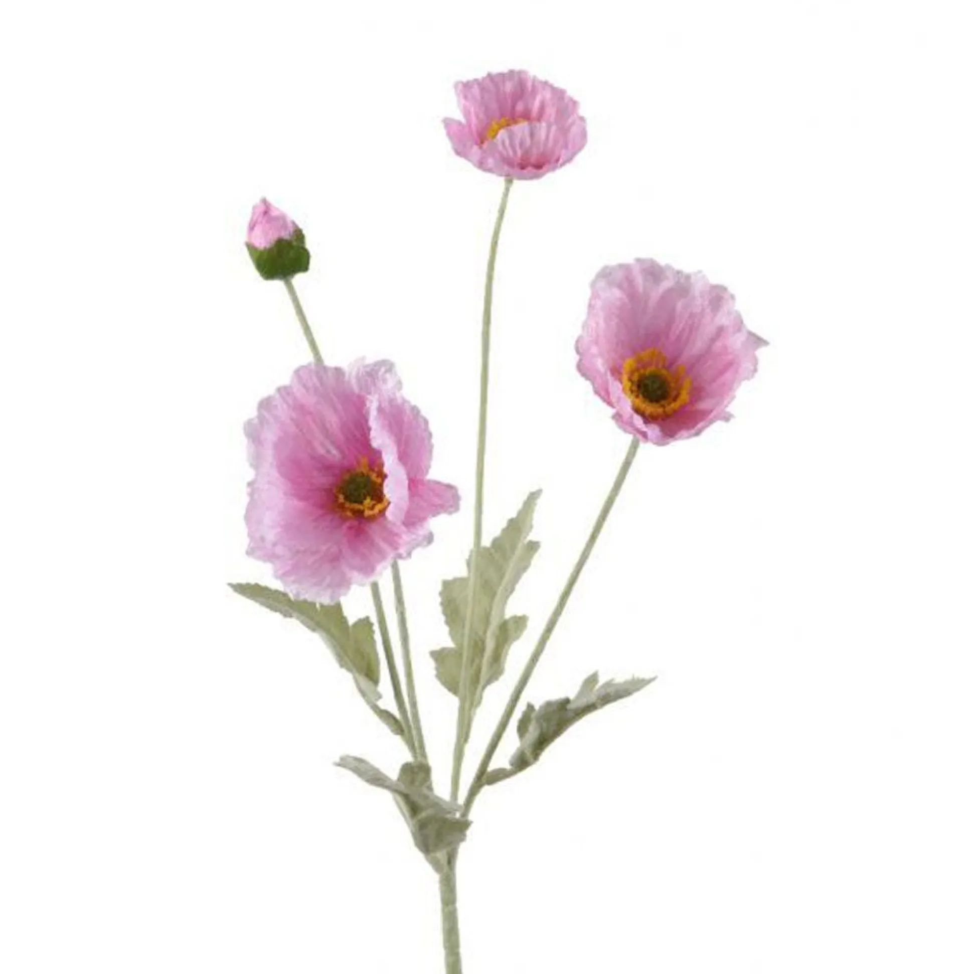 Papaver roze 63 cm