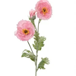 Papaver roze 106 cm