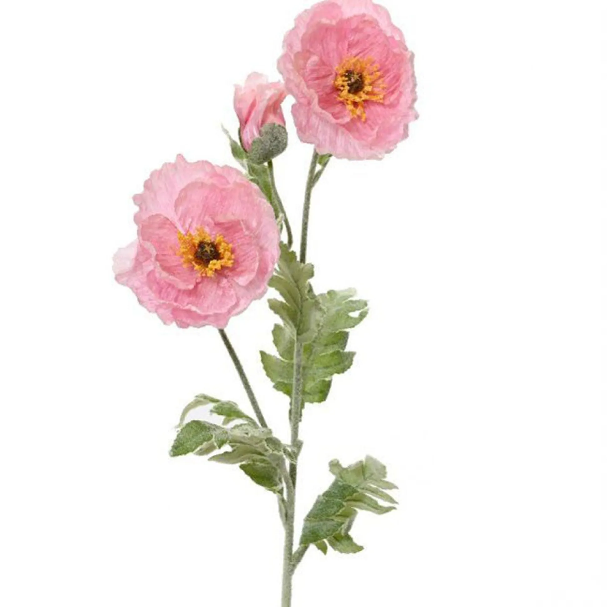 Papaver roze 106 cm