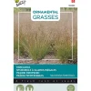Parelgras