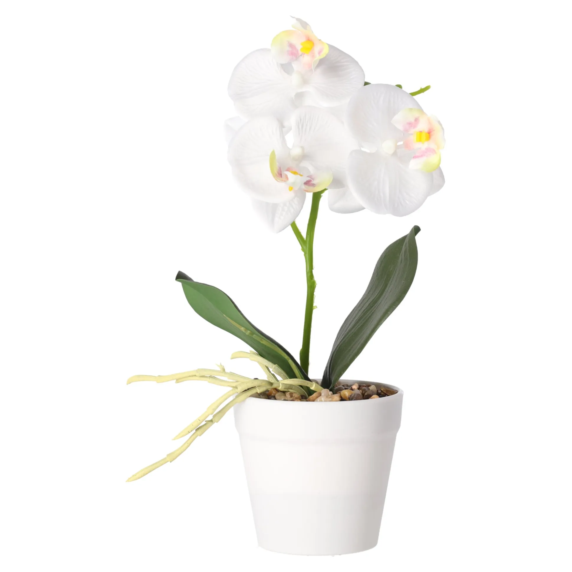Phalaenopsis in pot wit, roze en perzik, 3 assorti