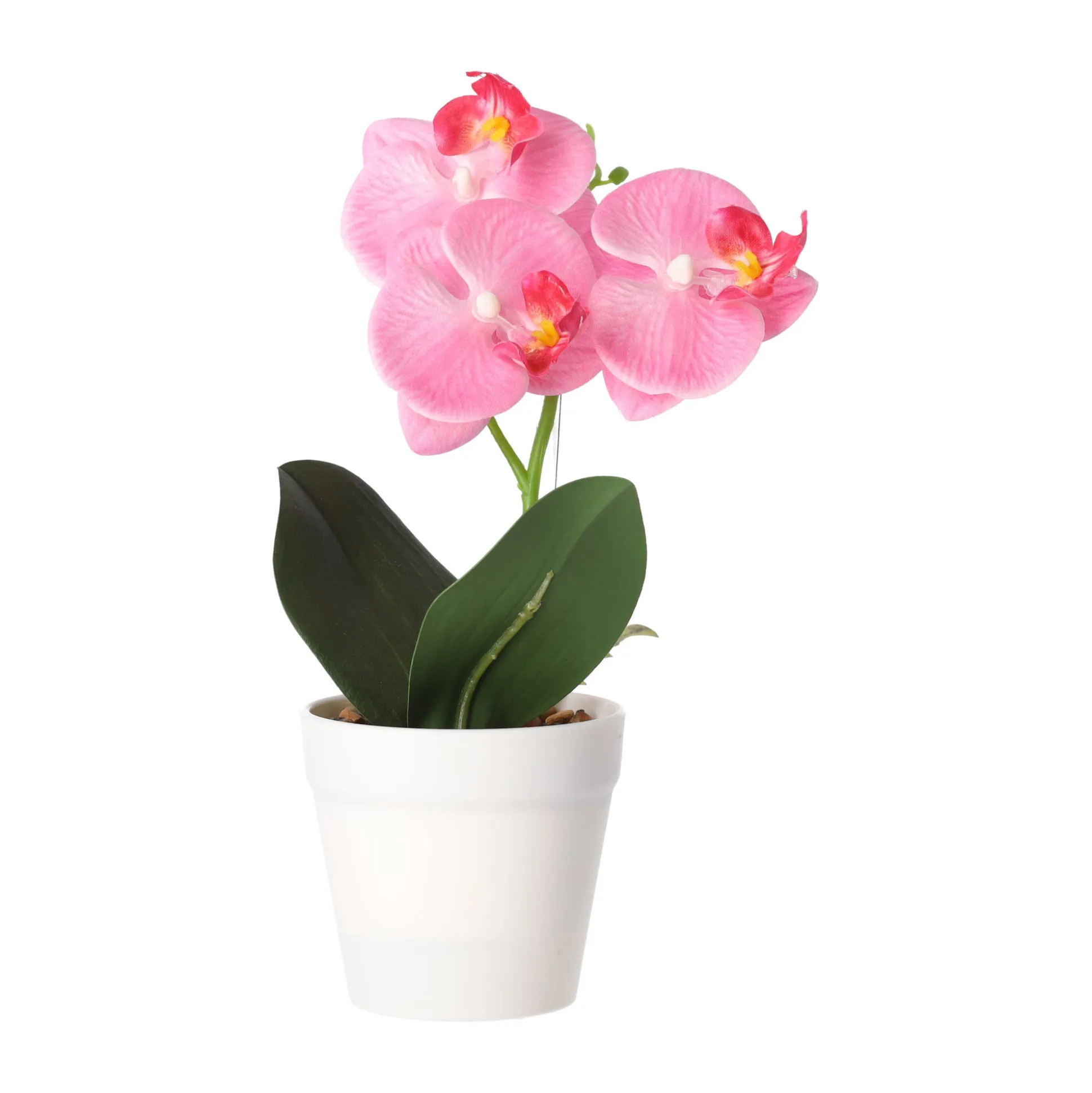 Phalaenopsis in pot wit, roze en perzik, 3 assorti