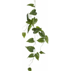 Philodendron hangend groen 115 cm