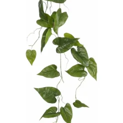 Philodendron hangend groen 115 cm