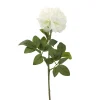 Pioen creme 72 cm