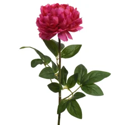 Pioen fuchsia 72 cm