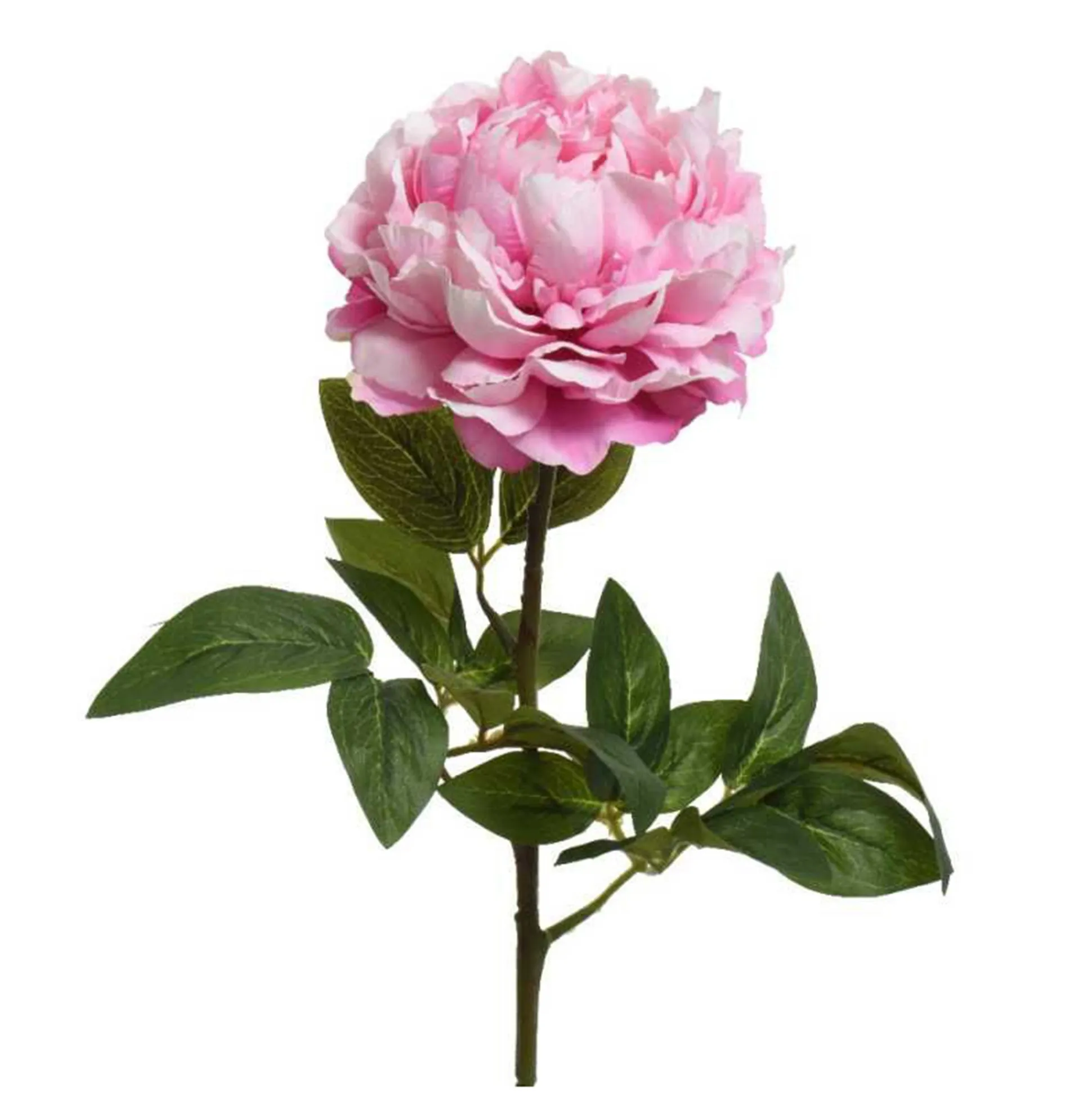 Pioen op steel 72 cm roze