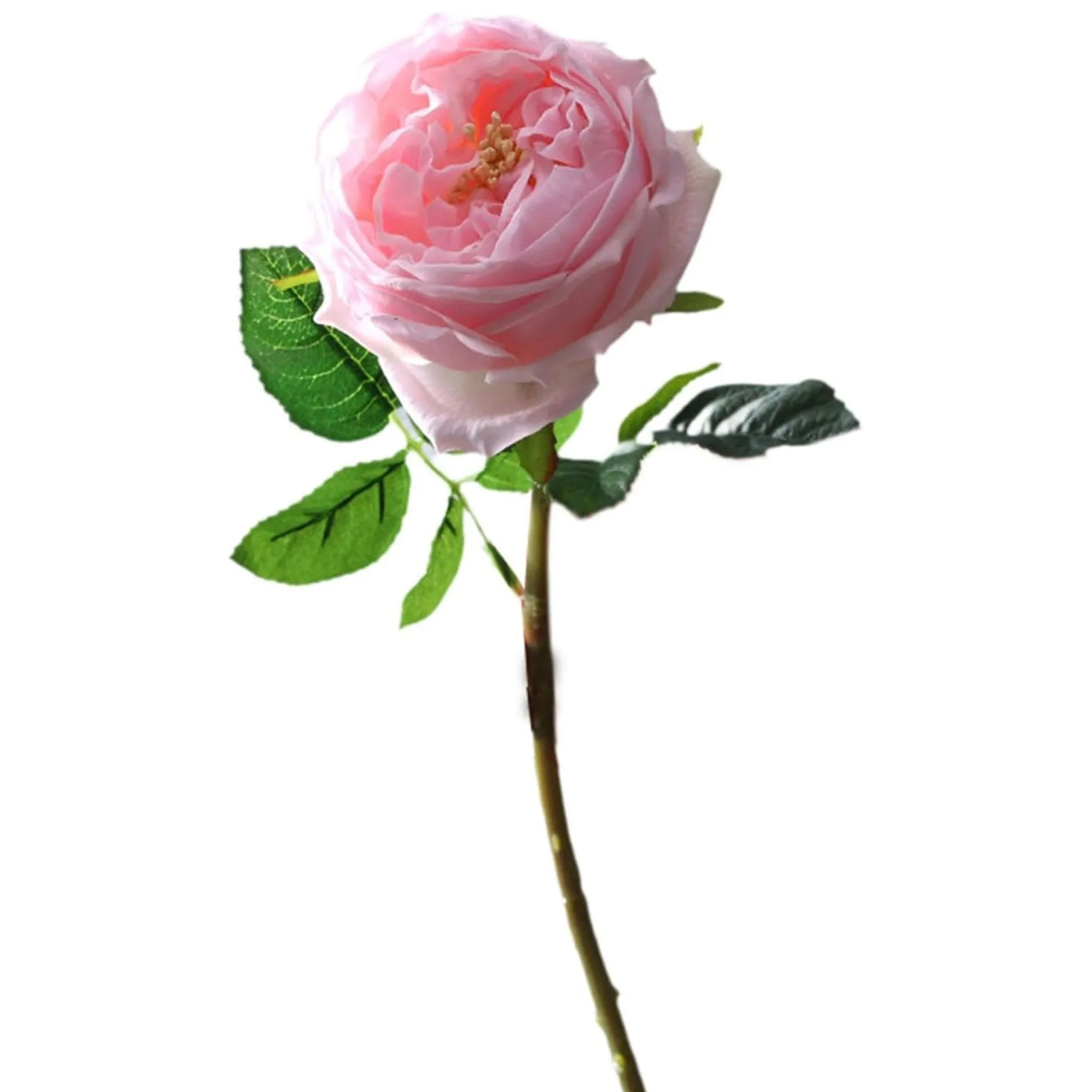 Pioen roze 72 cm