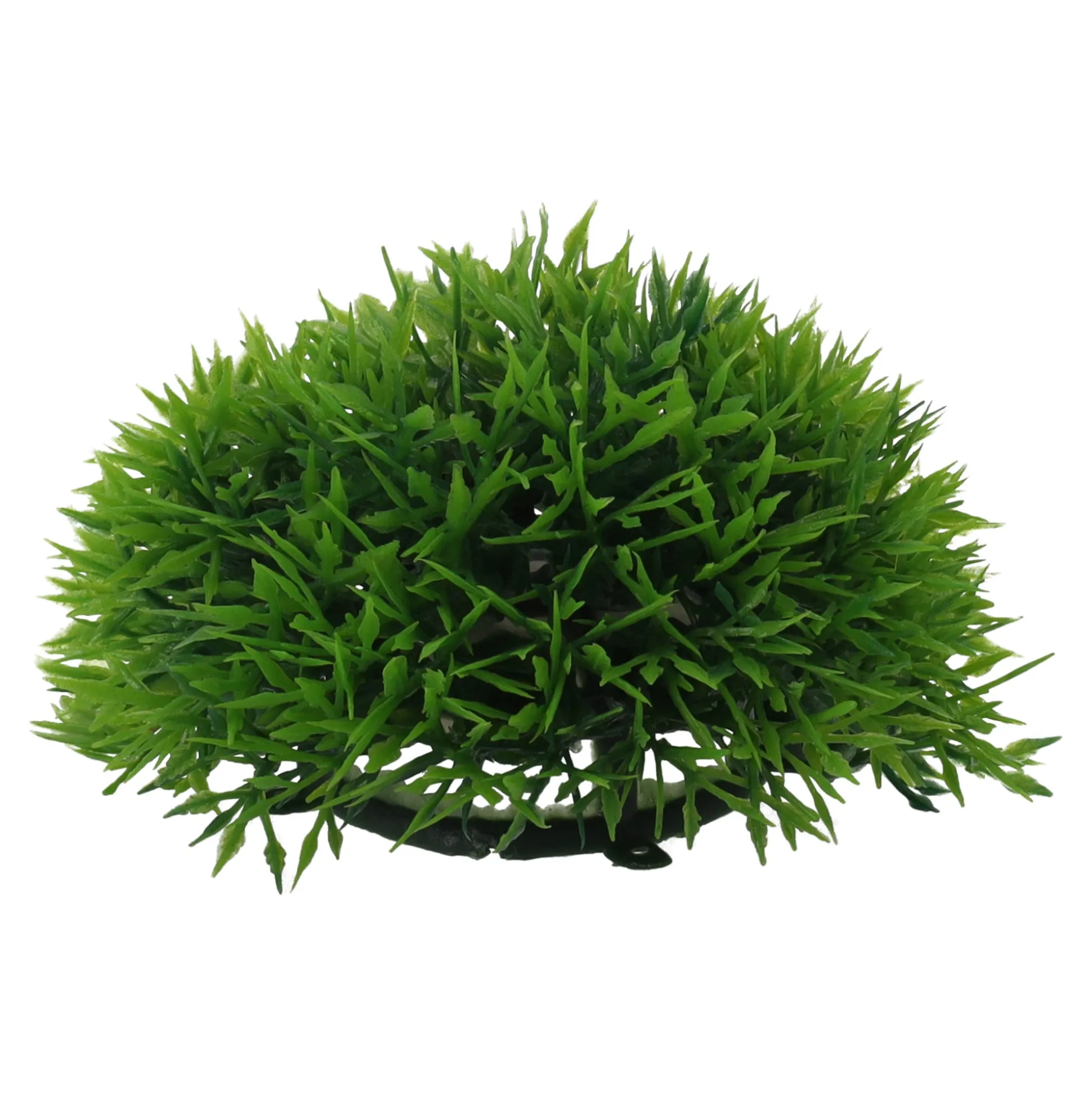 Plant aquarium halve mosbal 12cm