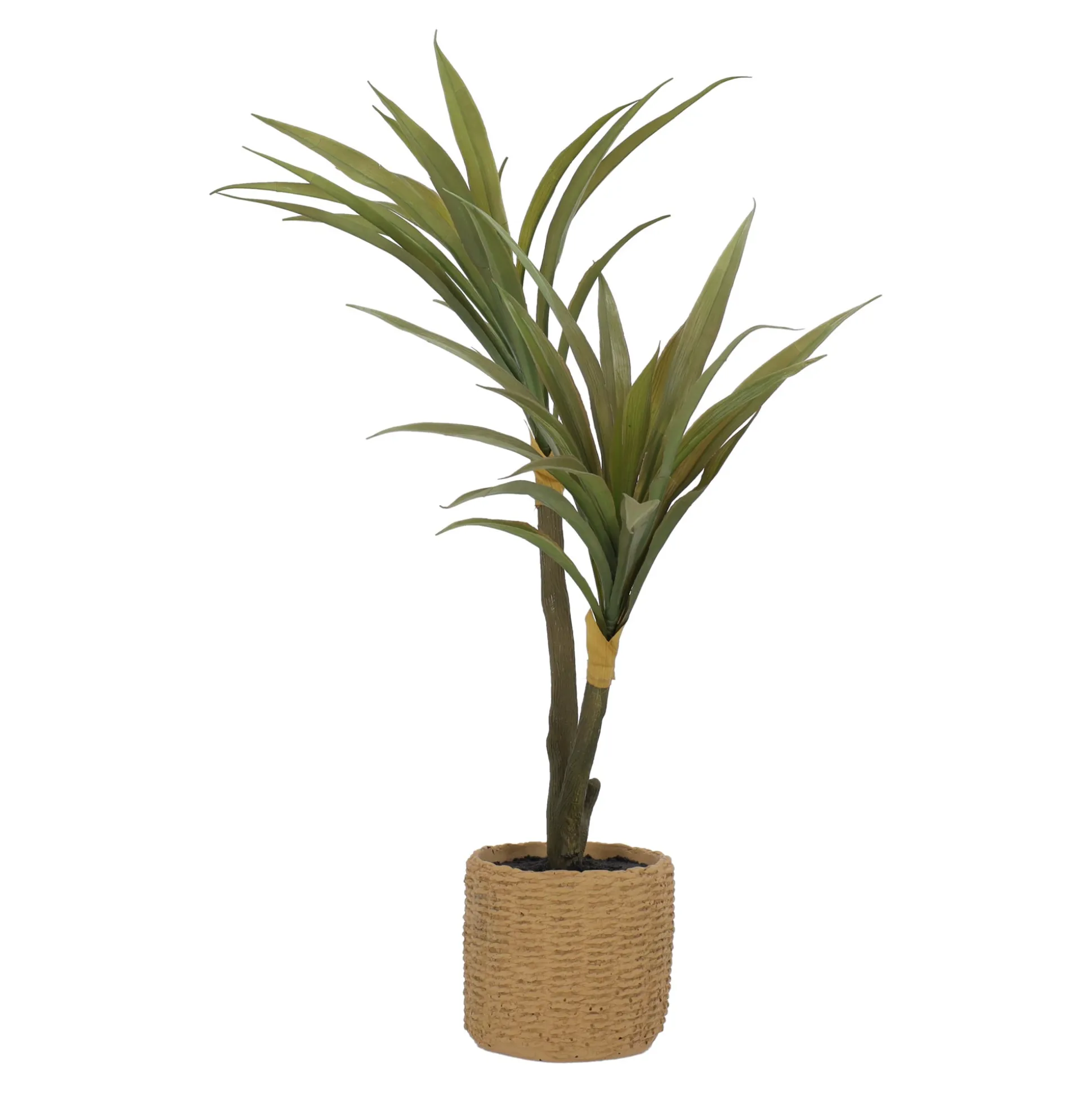 Plant in pot 60 cm