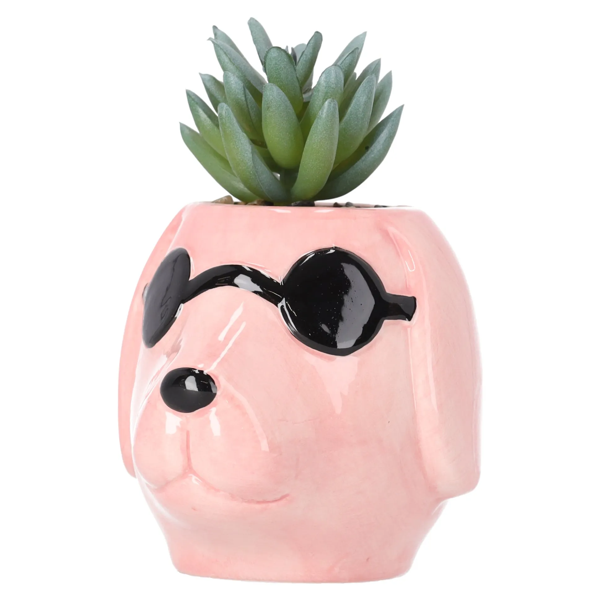 Plant in pot keramiek 11 x 8 x 12 cm
