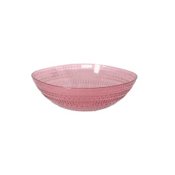 Plastic kom 25 x 7 cm