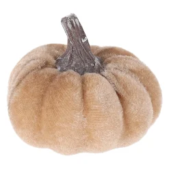 Pompoen fluweel 6cm