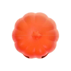 Pompoen plastic 20x25cm