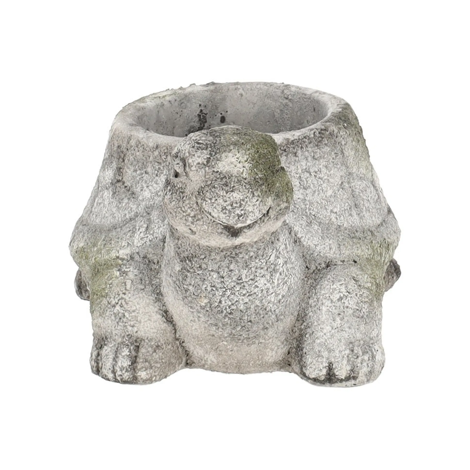Pot schildpad 15 cm cement