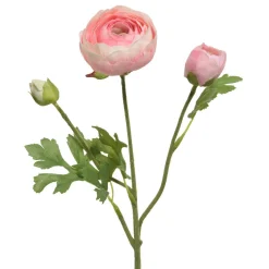 Ranonkel roze 51 cm