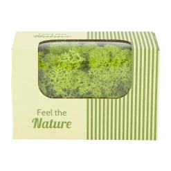 Rendiermos springgreen 50g