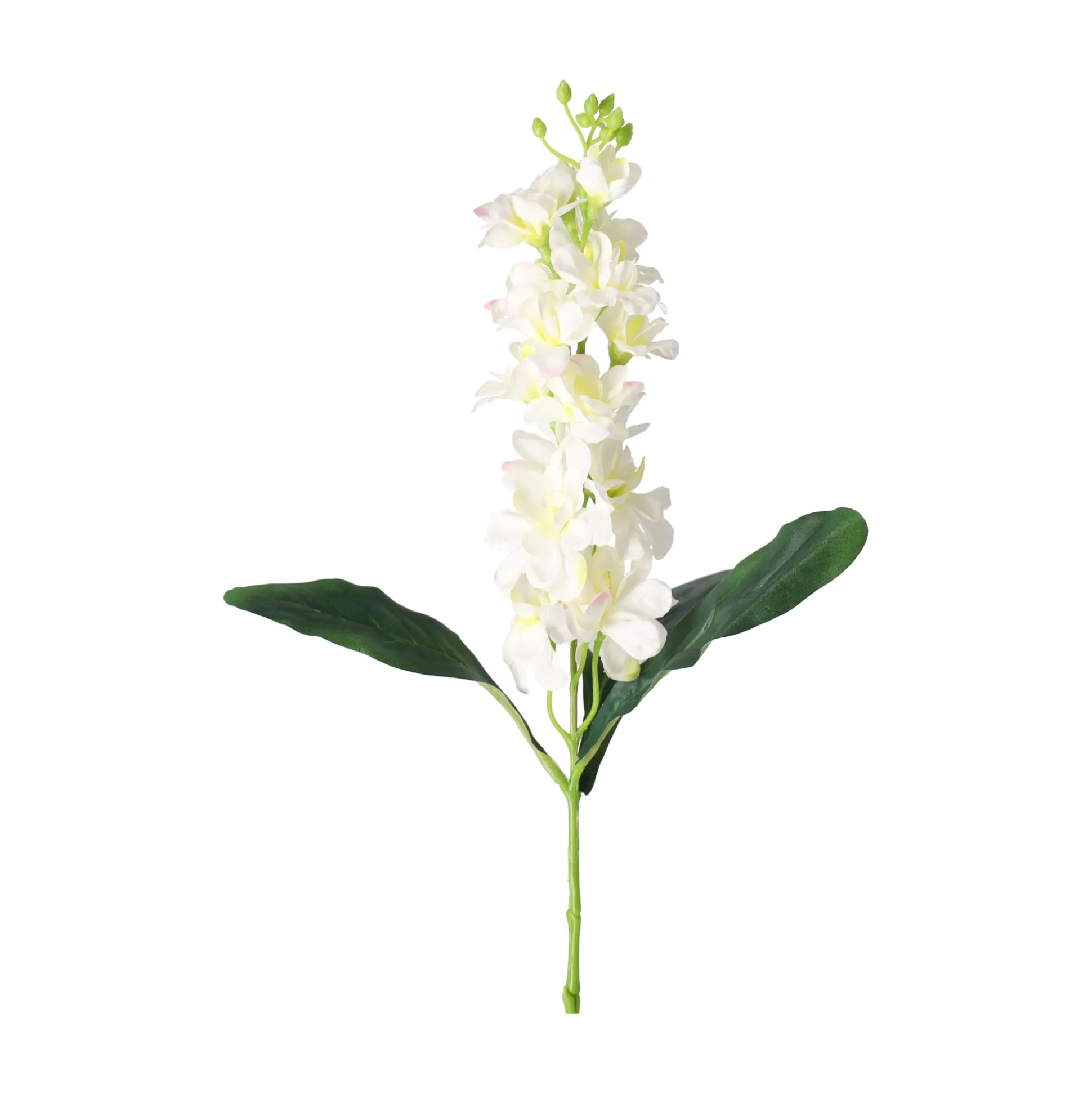 Ridderspoor 51 cm wit