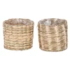 Ronde pot Alexis 9 x 10 cm diverse kleuren
