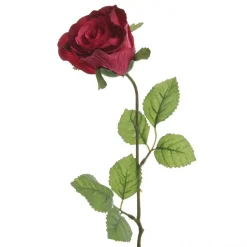 Roos 45 cm fuchsia