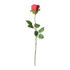 Roos 45 cm rood