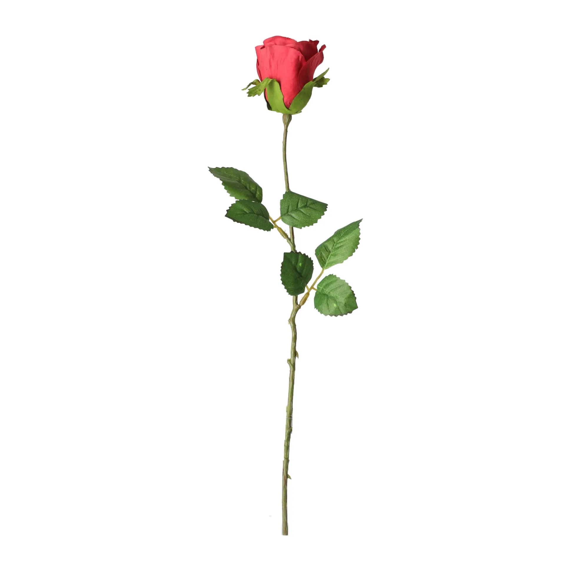 Roos 45 cm rood