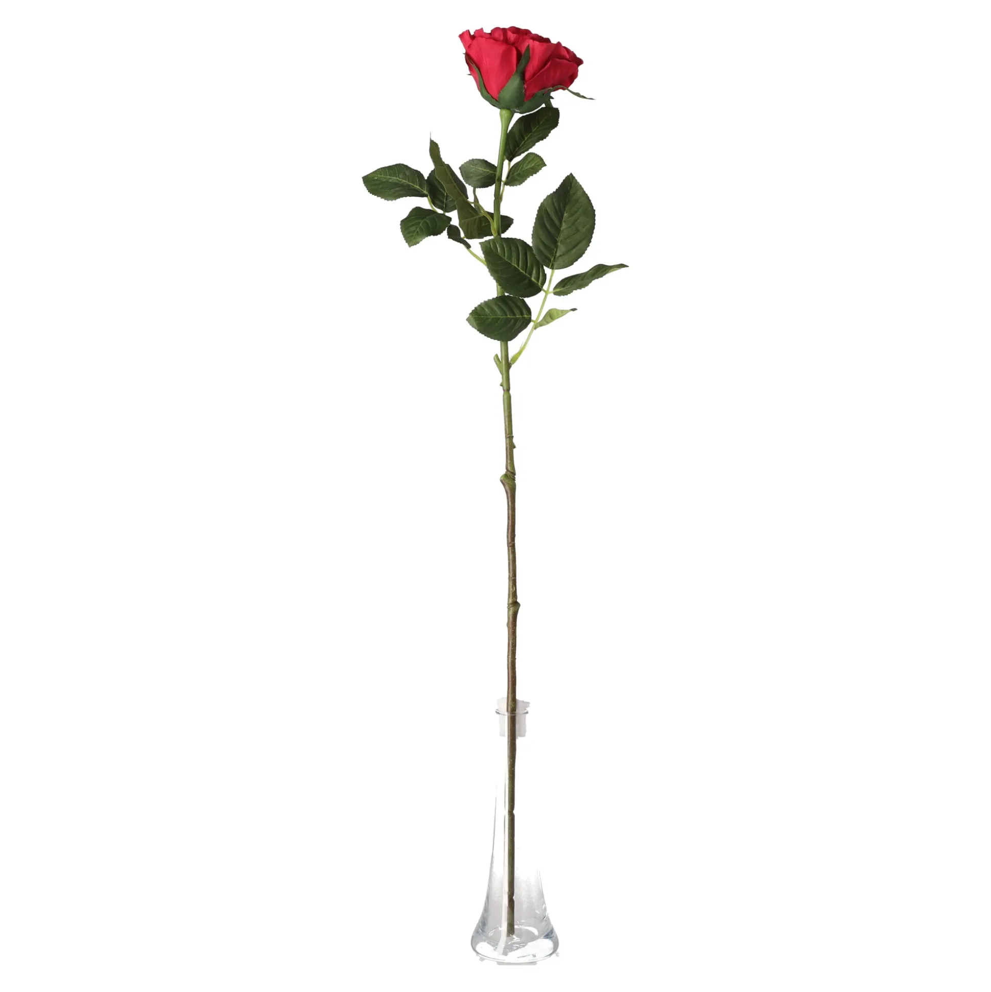 Roos op steel rood 71 cm