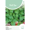 Rucola Eruca Sativa zaad