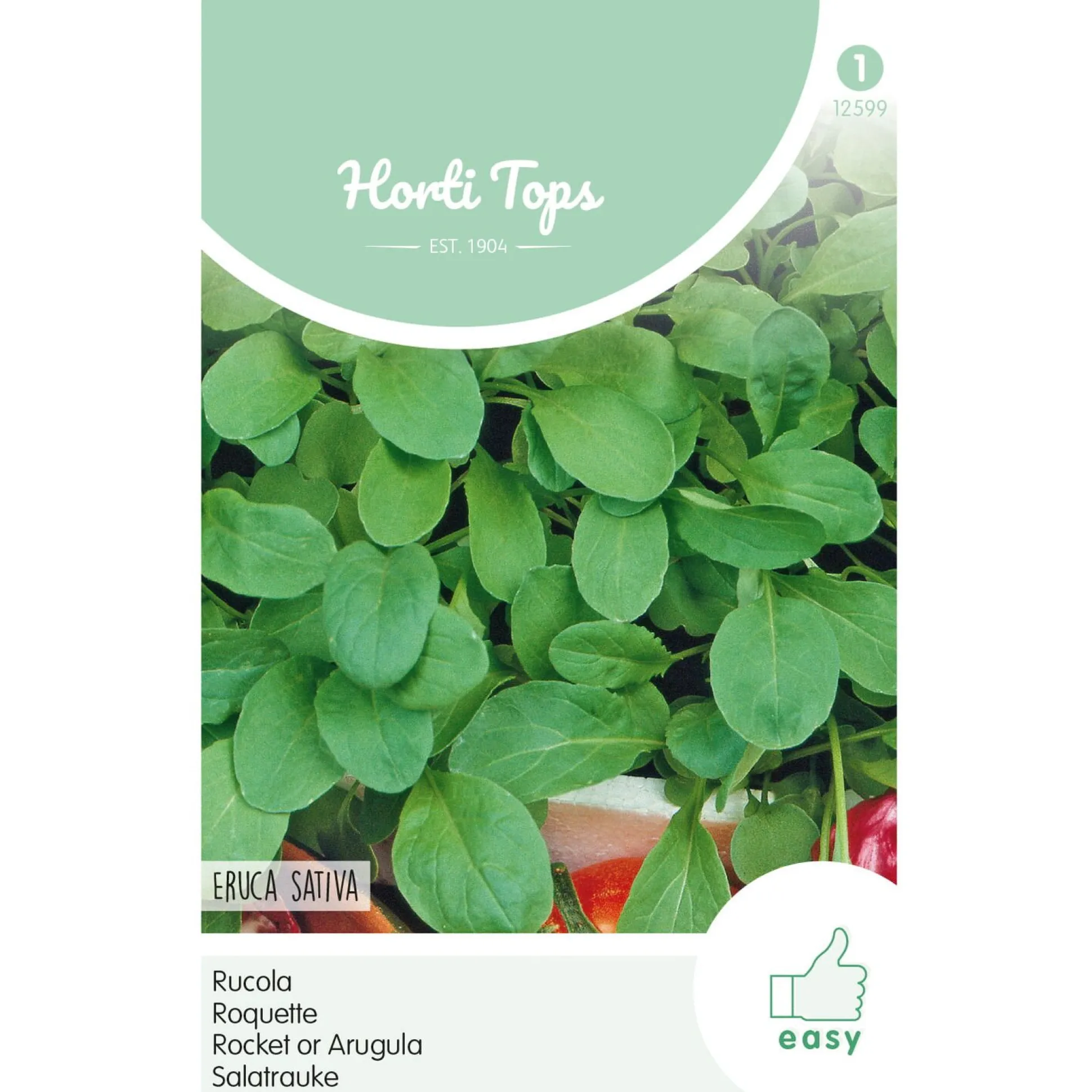 Rucola Eruca Sativa zaad