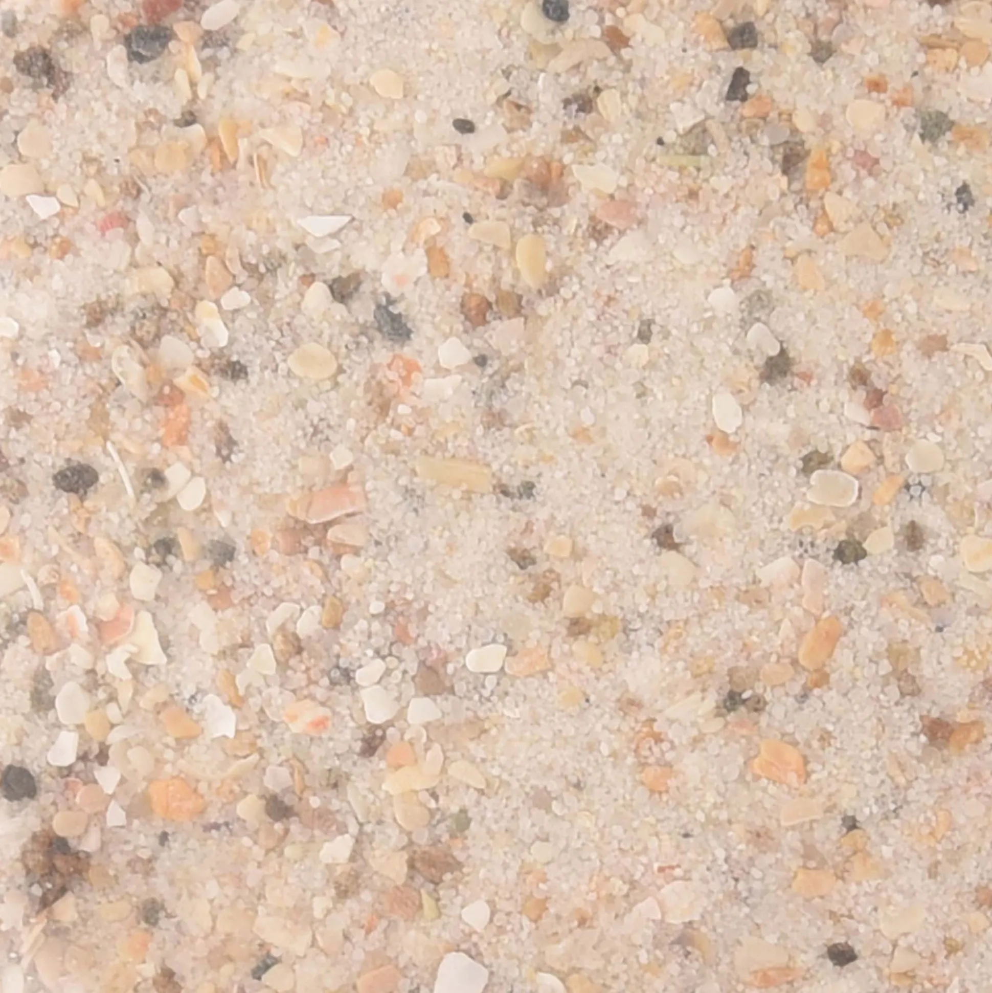 Schelpenzand-oesterschelpjes 2kg