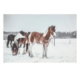 Schilderij LED paarden 60 x 40 cm