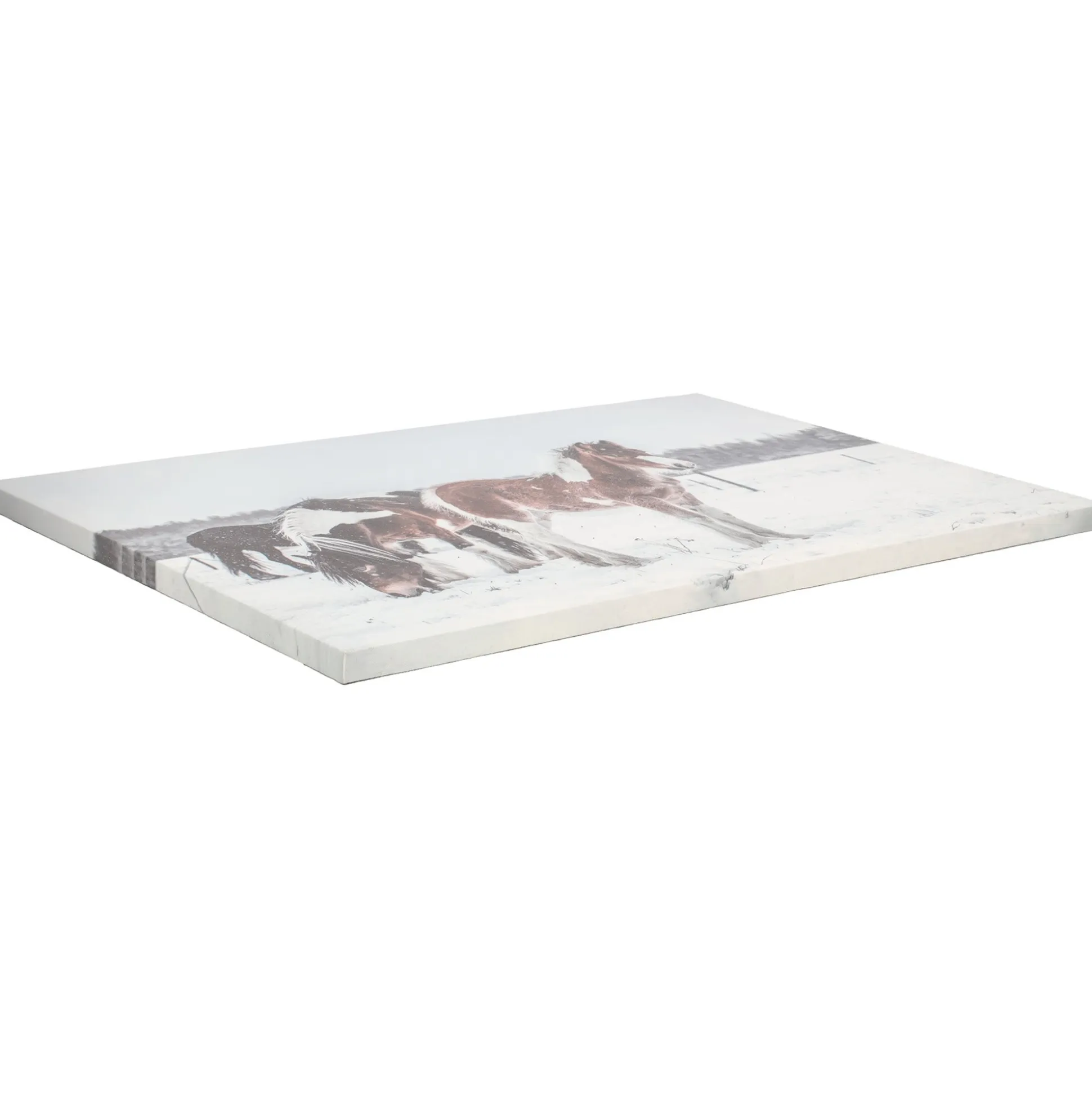 Schilderij LED paarden 60 x 40 cm
