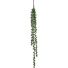 Senecio hangend 71 cm groen