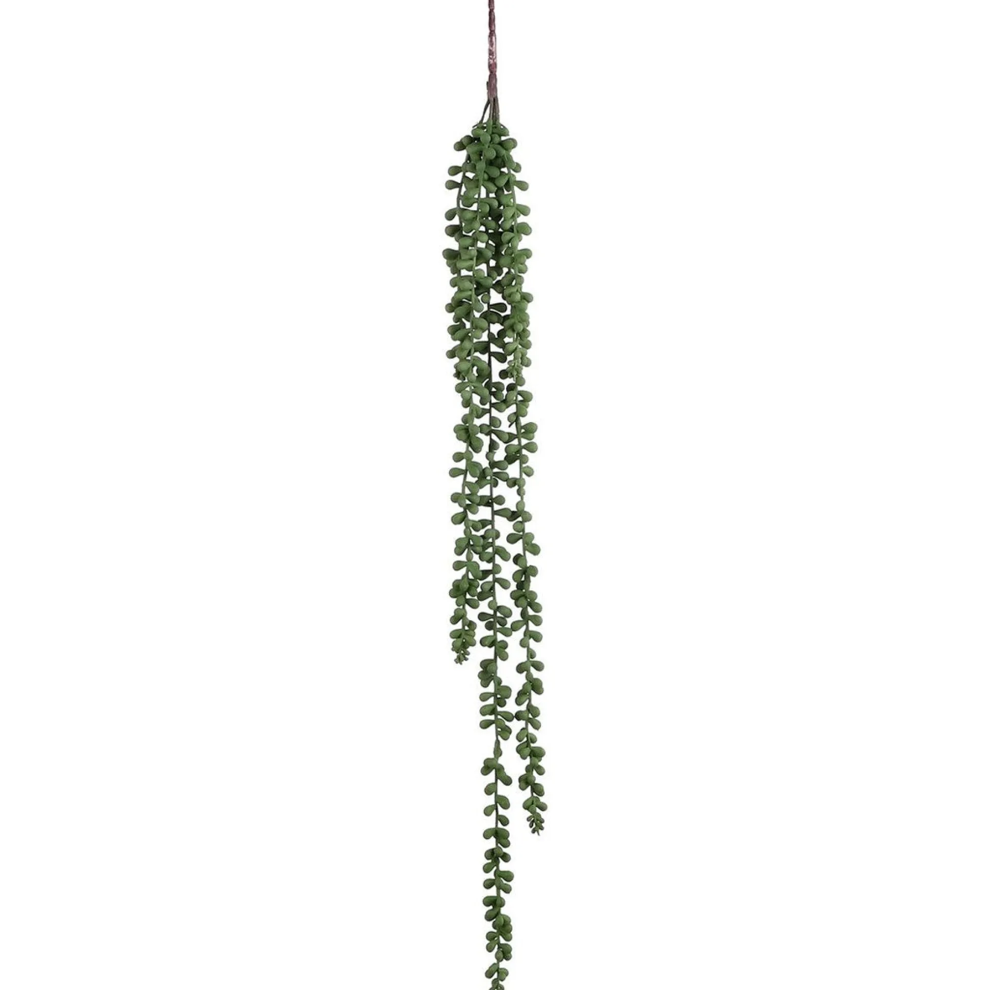Senecio hangend 71 cm groen