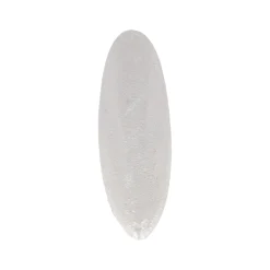 Sepia schelp Zazoo 23cm Smulti