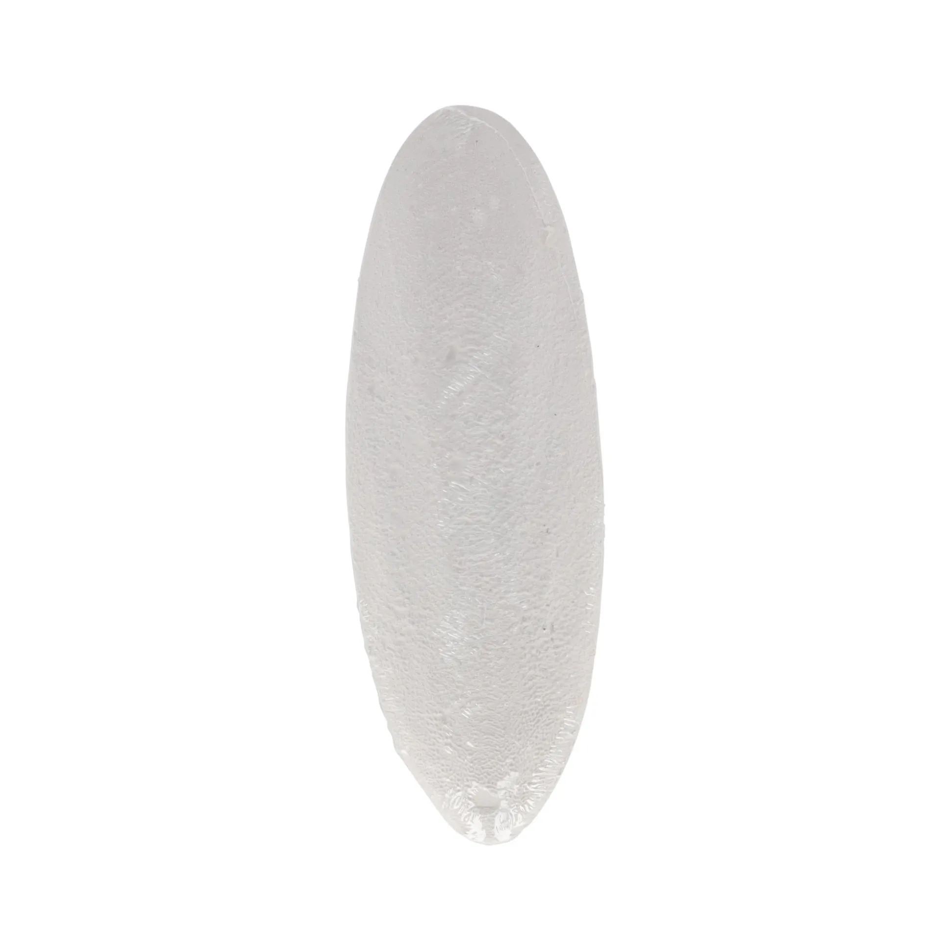 Sepia schelp Zazoo 23cm Smulti