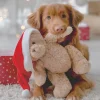 Servet 33 x 33 cm Woof
