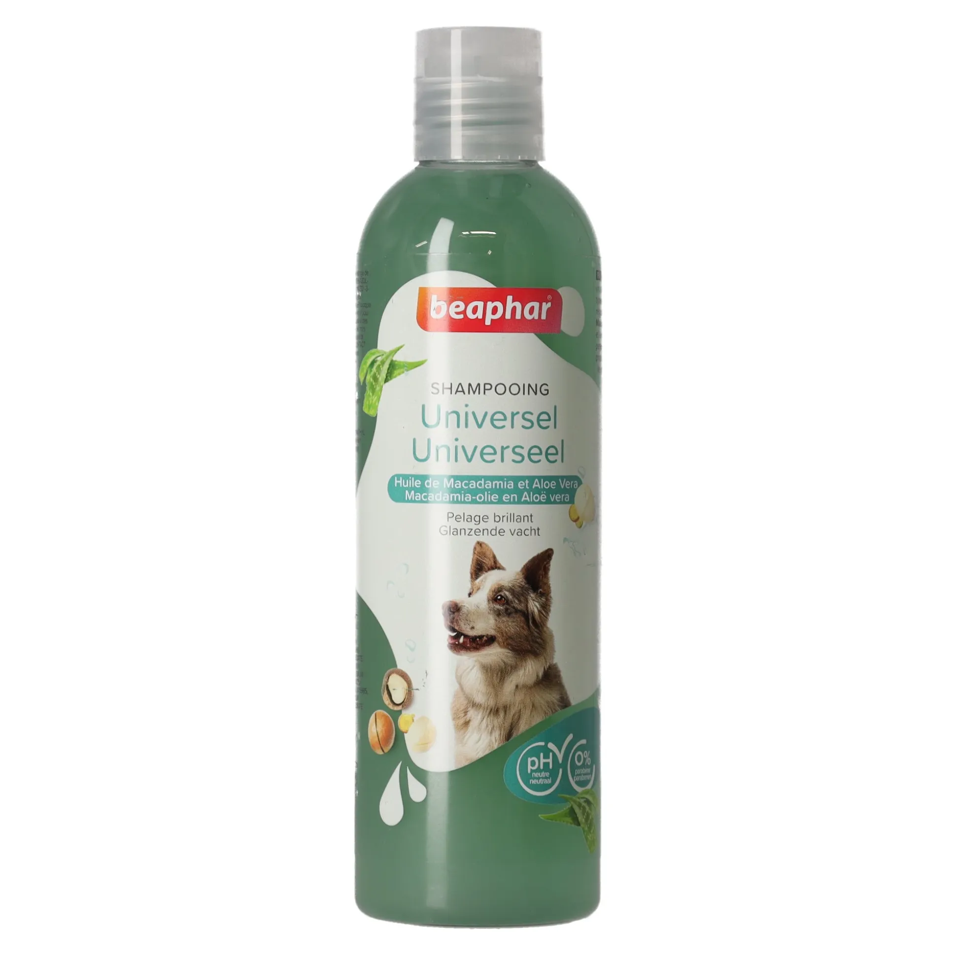 Shampoo universeel hond 250ml Beaphar