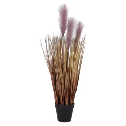 Siergras in pot met pluis 70 cm